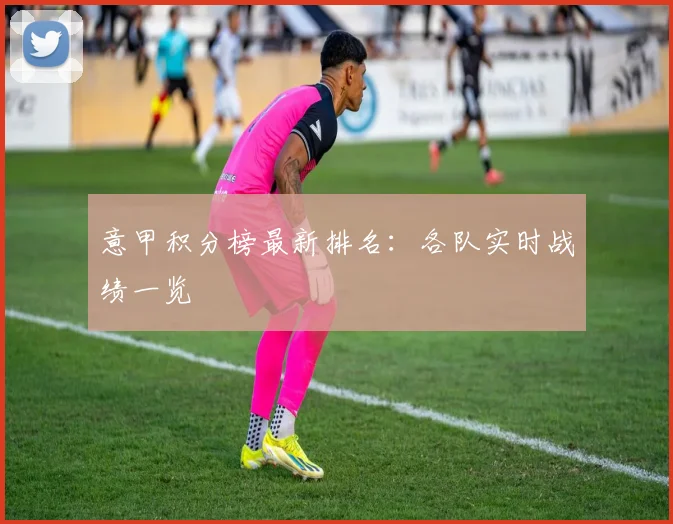 意甲积分榜最新排名：各队实时战绩一览