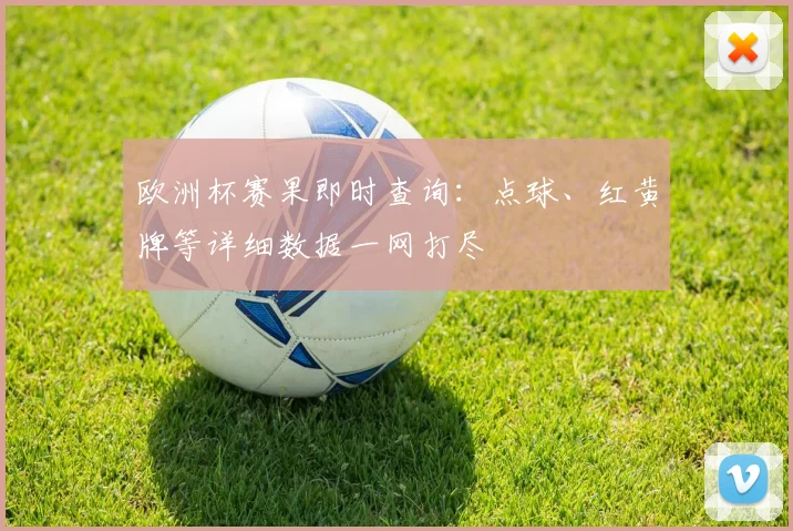欧洲杯赛果即时查询：点球、红黄牌等详细数据一网打尽